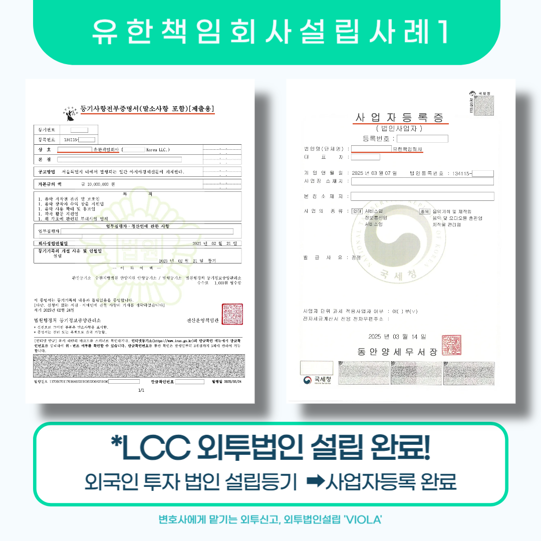 외국인 투자 유한책임회사 설립 성공사례 관련 이미지 2