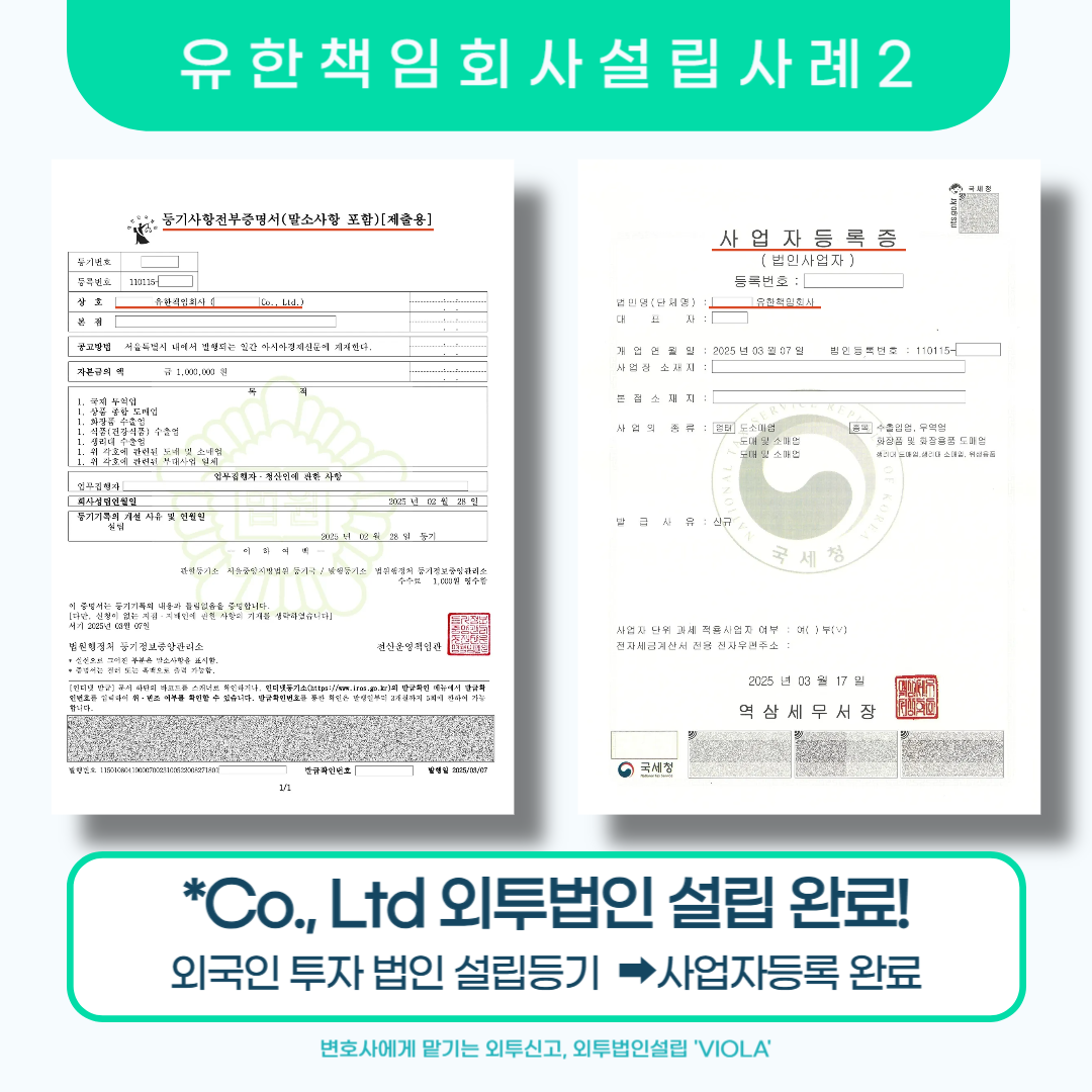 외국인 투자 유한책임회사 설립 성공사례 관련 이미지 3